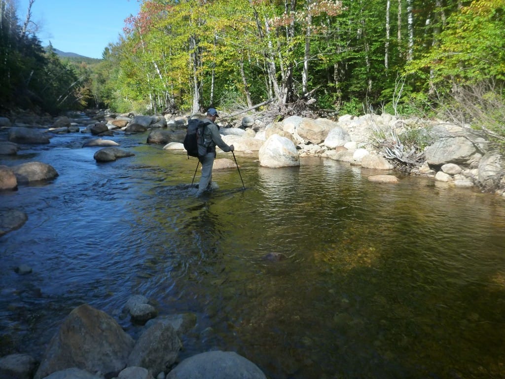 A hiker fords a wide river that runs through a green forest in the White Mountains National Forest.