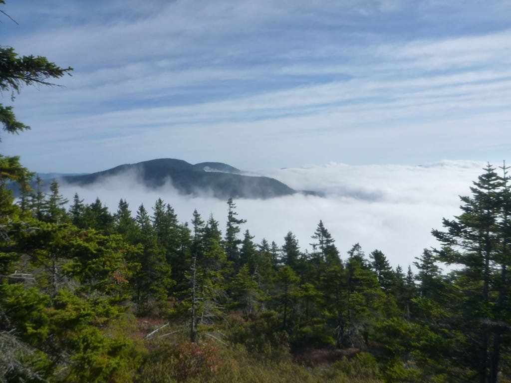 Clouds settle into a valley below an evergreen forest.