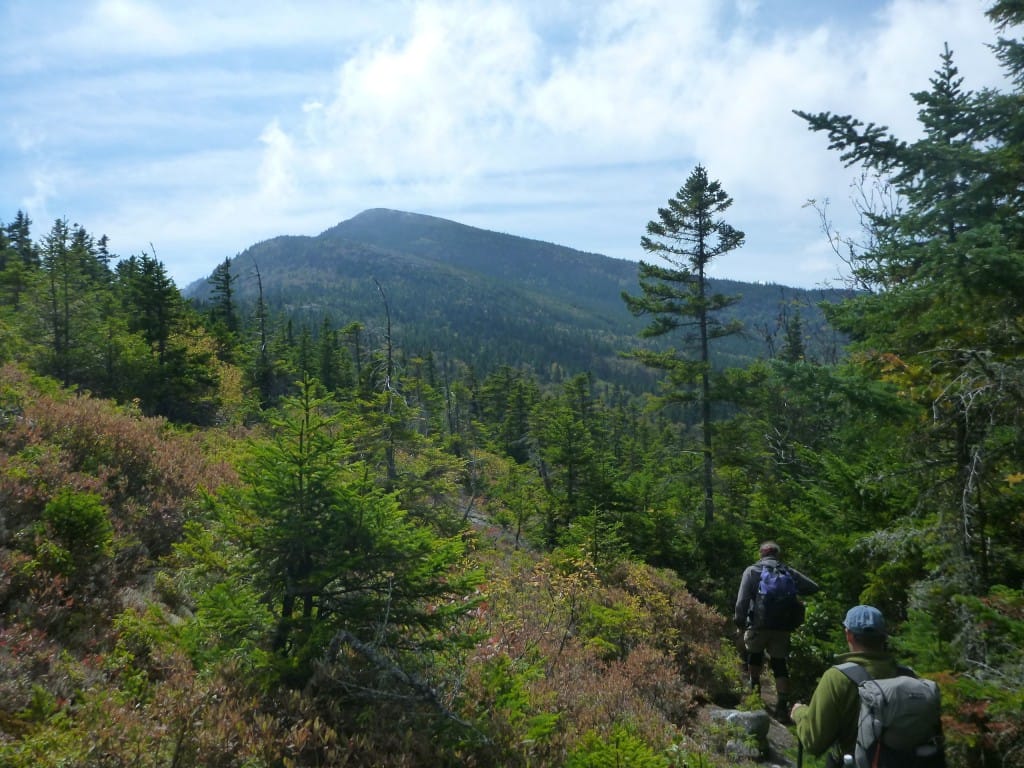 Two hikers travel through a sparse green forest with distant mountains in the background.