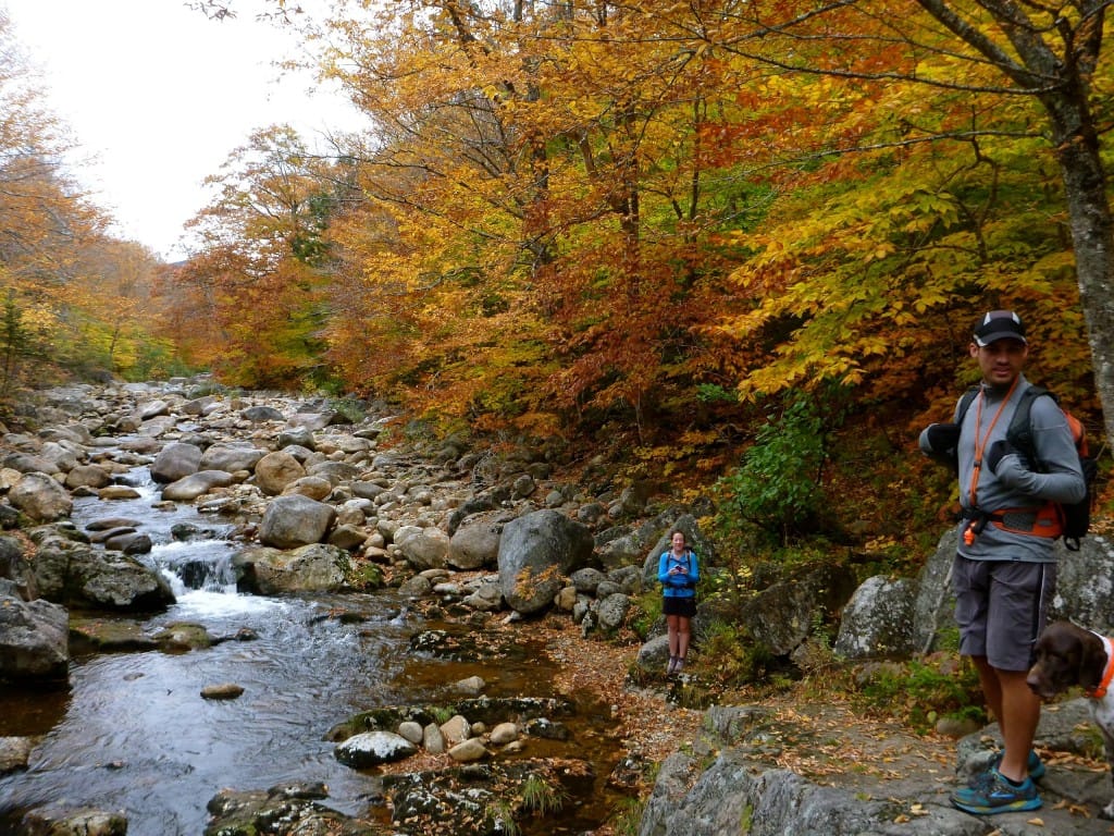 Hikers stand next to a rocky stream that flows through a forest.