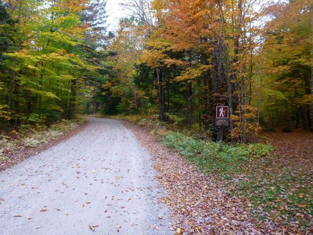 A hiker stands next to a gravel road that disappears into green and yellow trees.