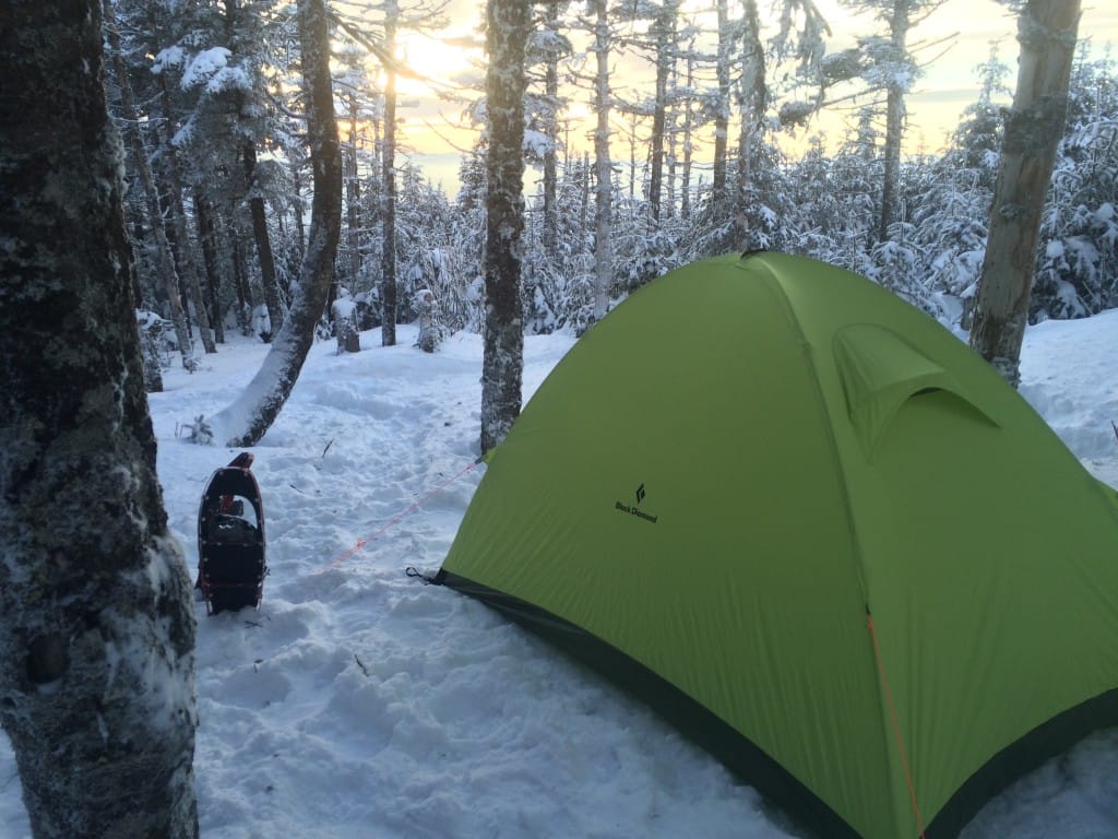 A green tent sits in a snowy forest.