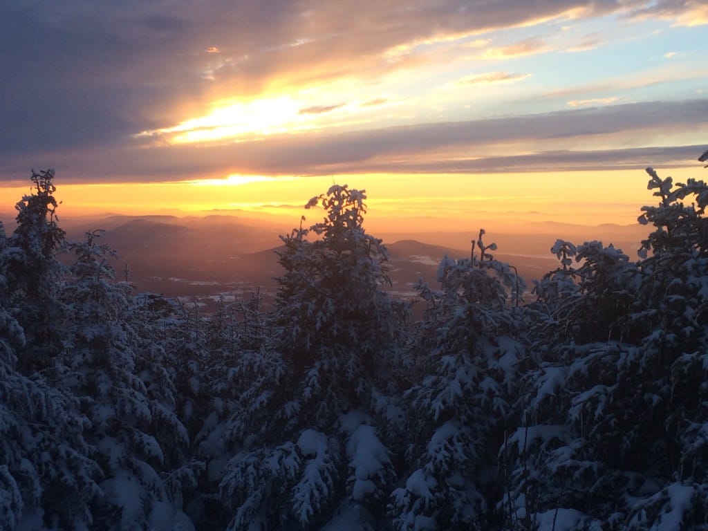A sunset glows over a snowy forest.