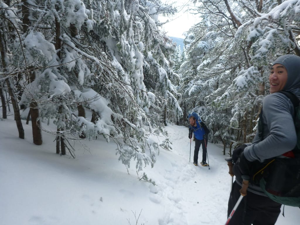 A group of hikers walk down a trail through a snowy forest.