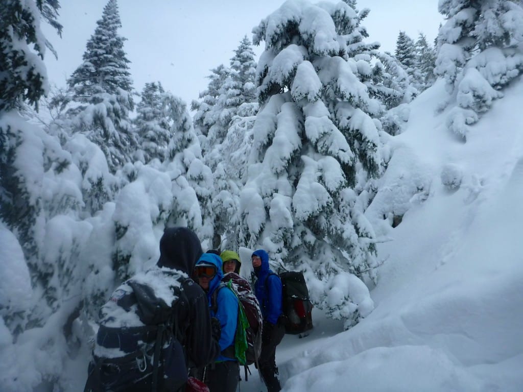A group of hikers stand in a snowy forest.