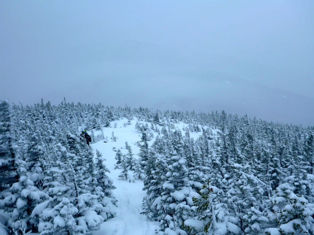 A snowy forest and trail are surrounded by fog.