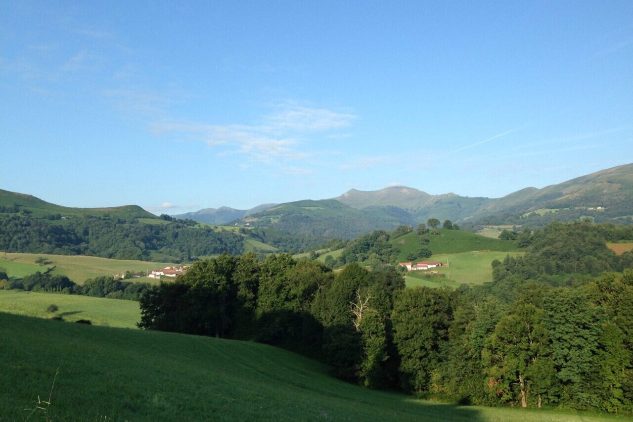 A pastoral landscape of green meadows and green forests has mountains in the background.