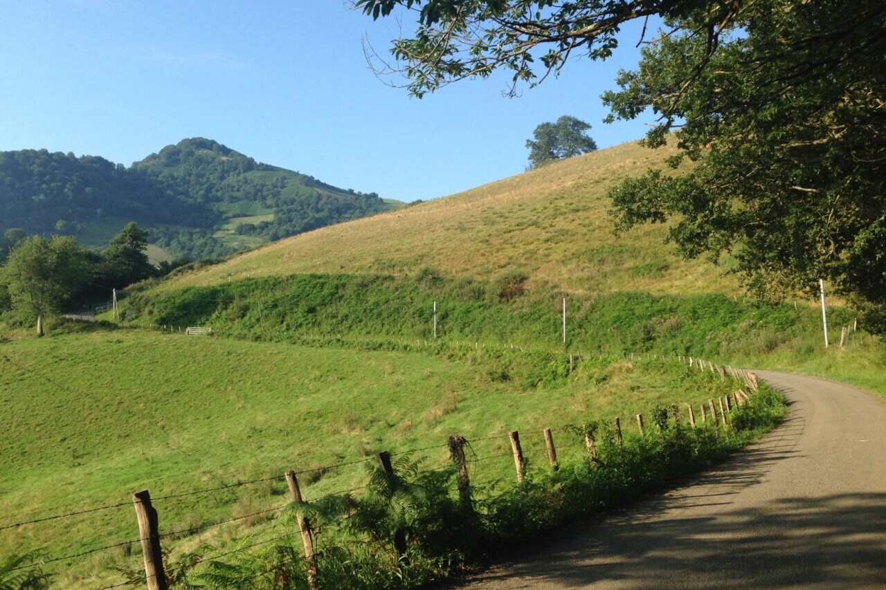 A country road winds through green fields.