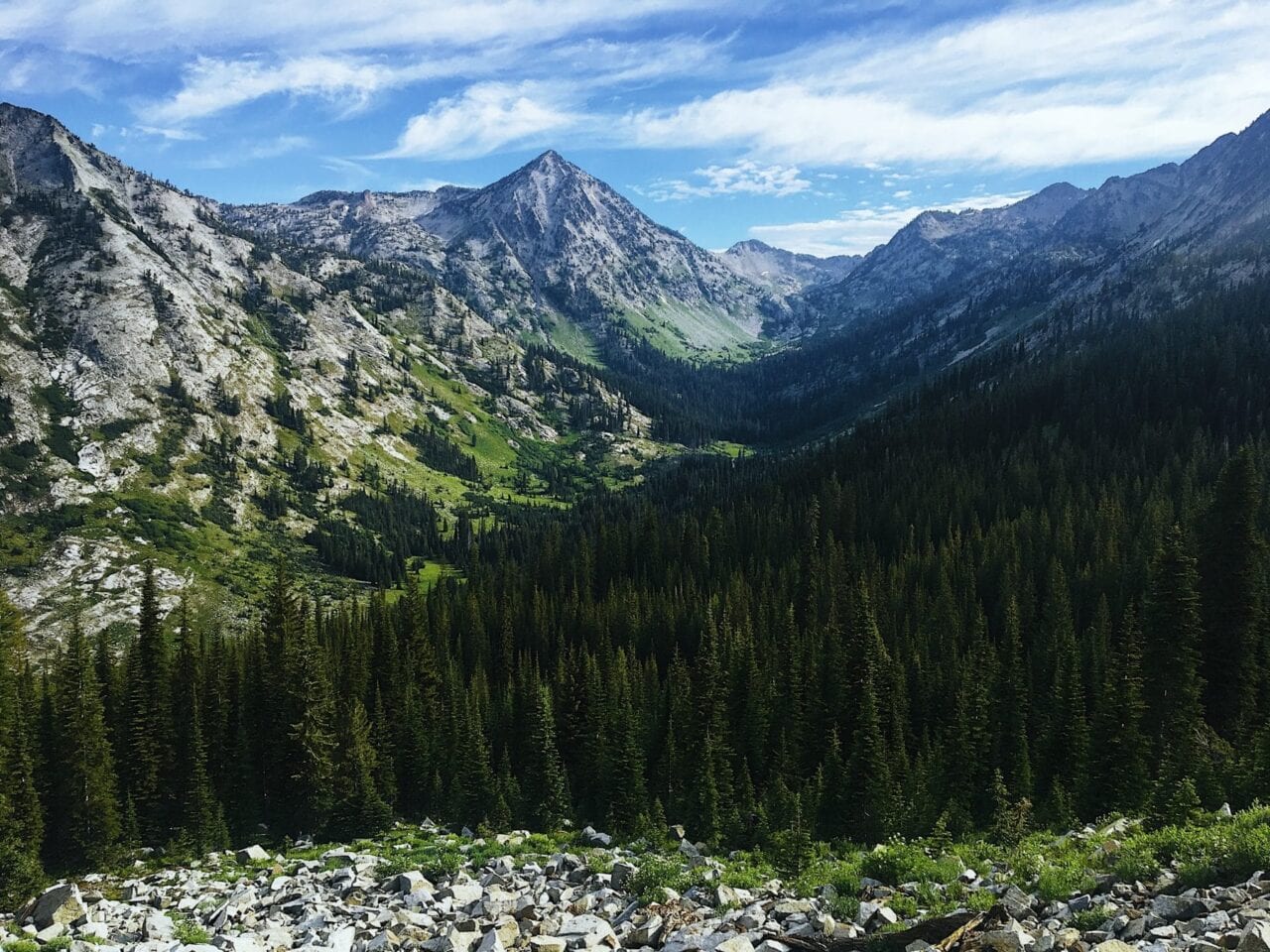 A view from a ridge looks over a dense evergreen forest and a distant green valley surrounded by rocky peaks.