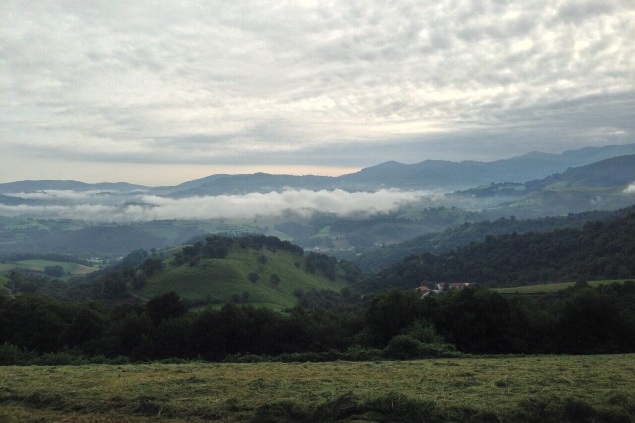 A pastoral landscape of green meadows and green forests has mountains in the background.