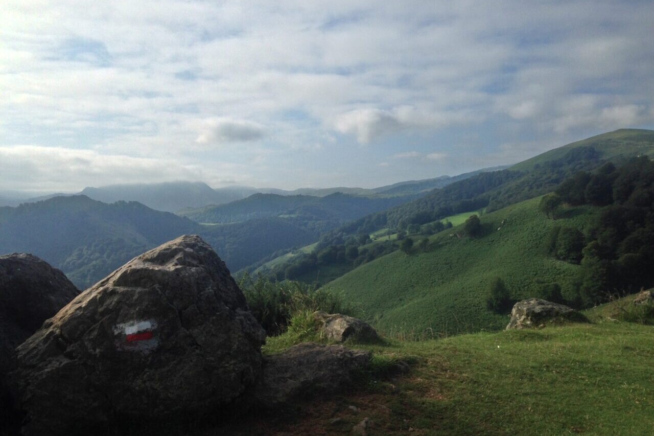 A pastoral landscape of green meadows and green forests has mountains in the background.