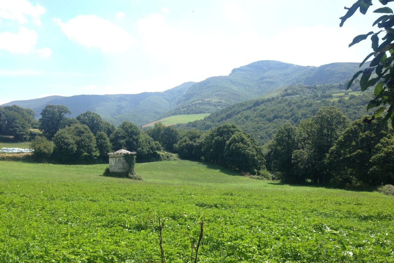 A pastoral landscape of green meadows and green forests has mountains in the background.