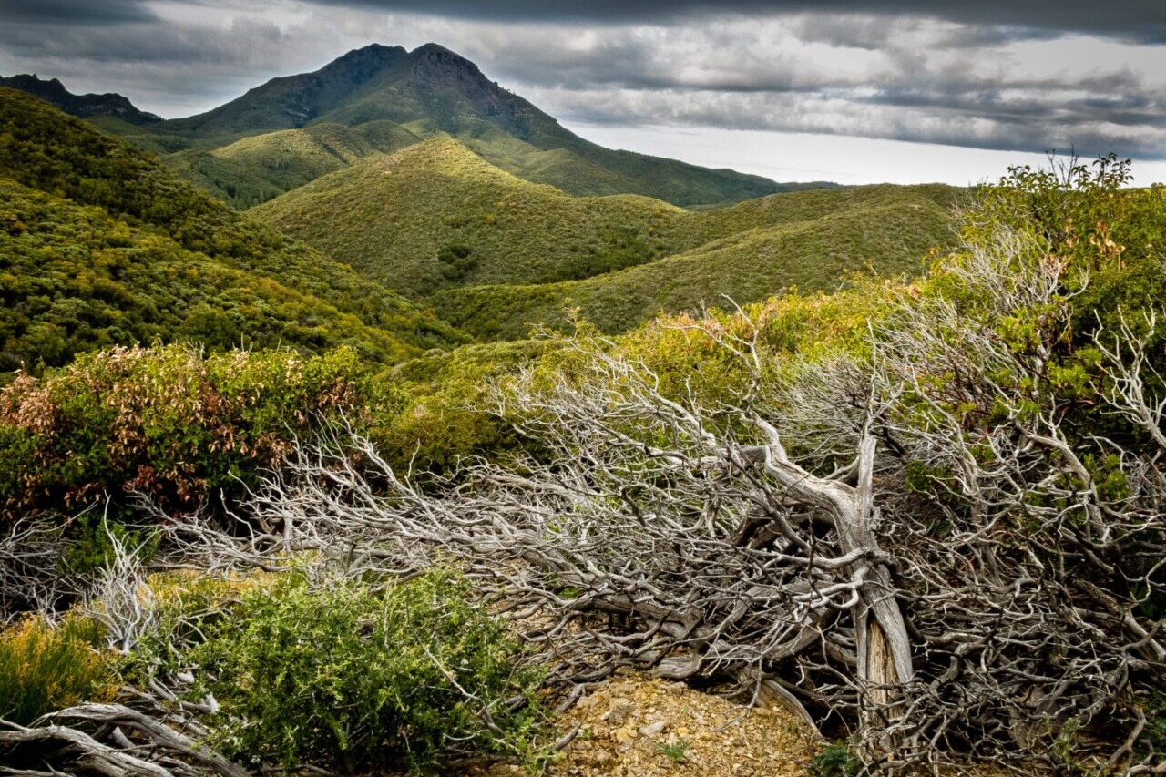 Distant green mountains are set against a stormy sky.
