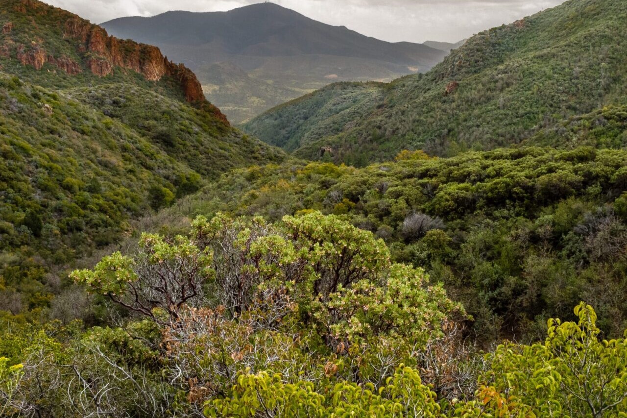 Distant green mountains are set against a stormy sky.