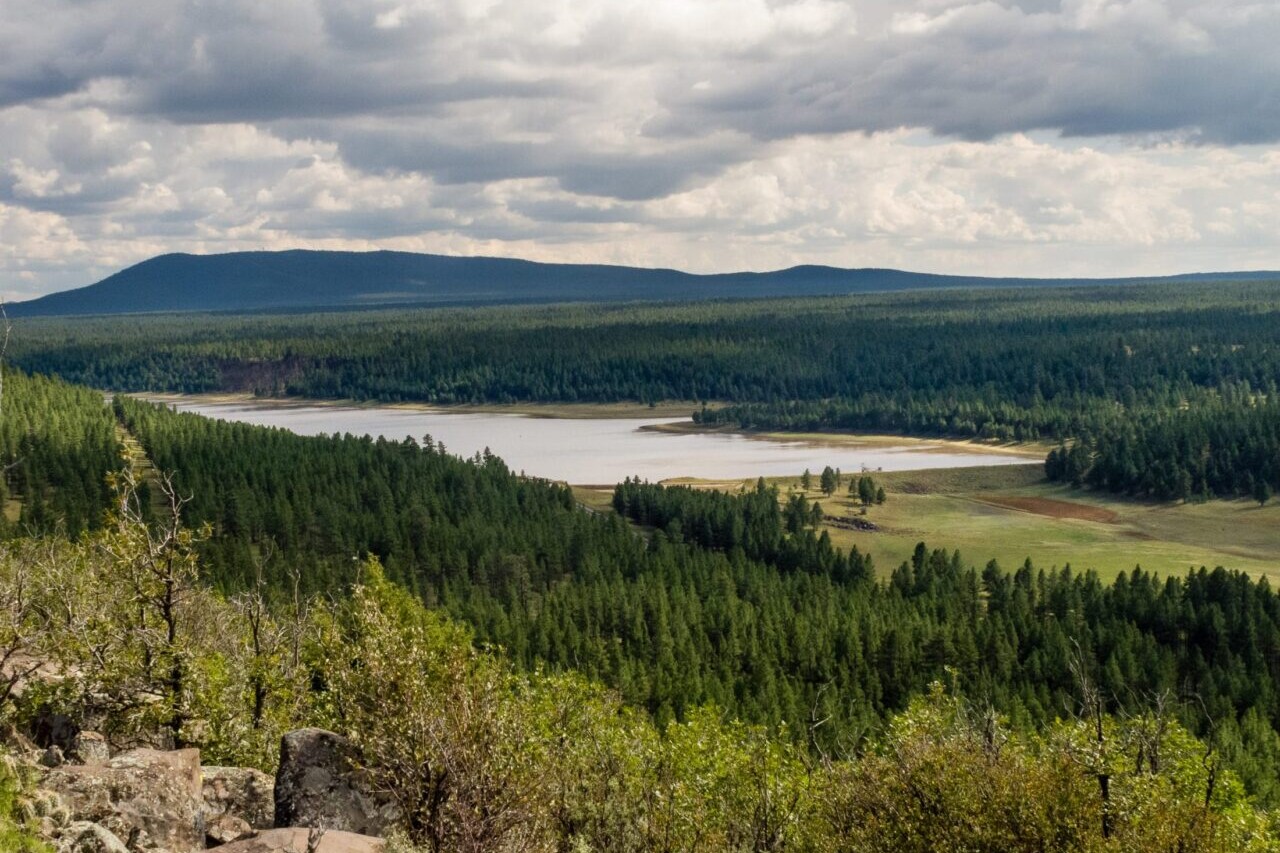 A lake sits among a green forest.