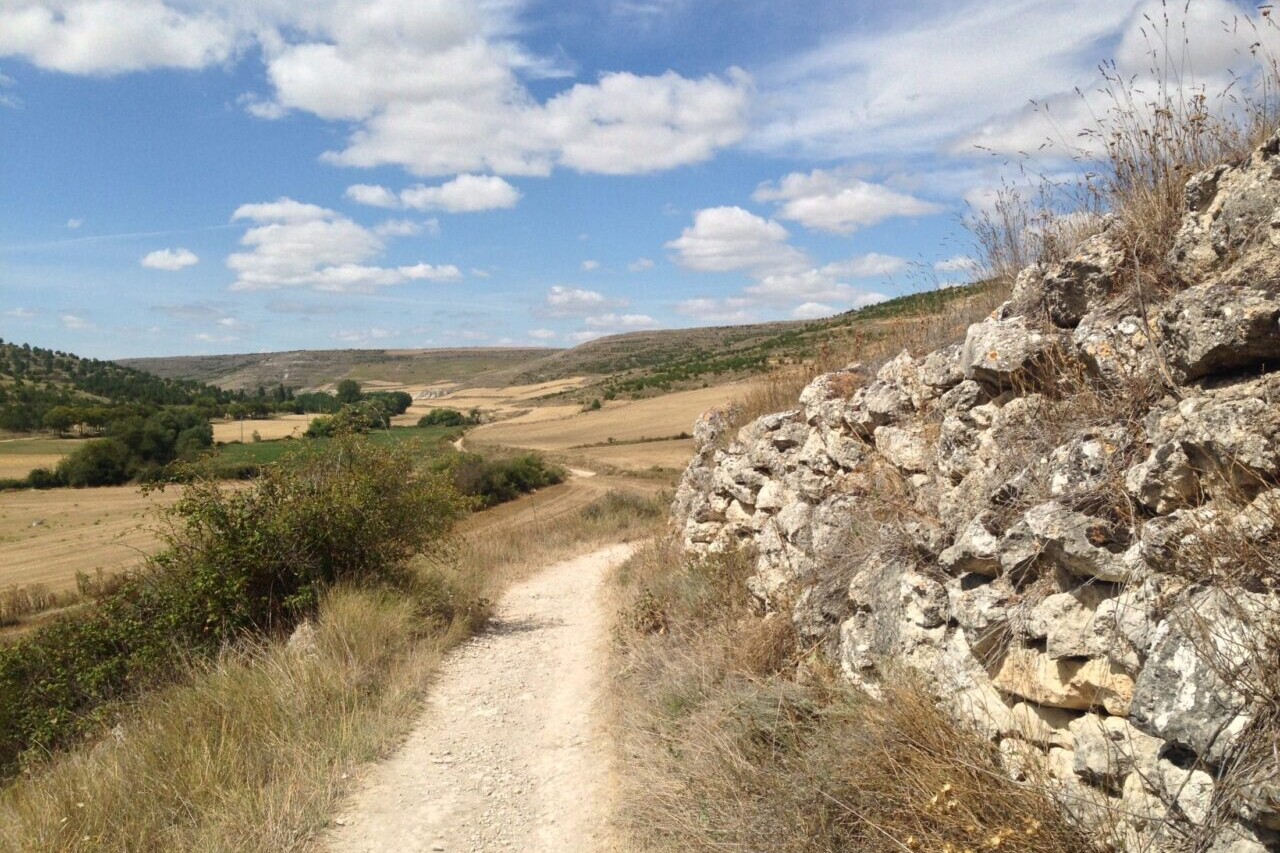 A country road winds through golden fields.