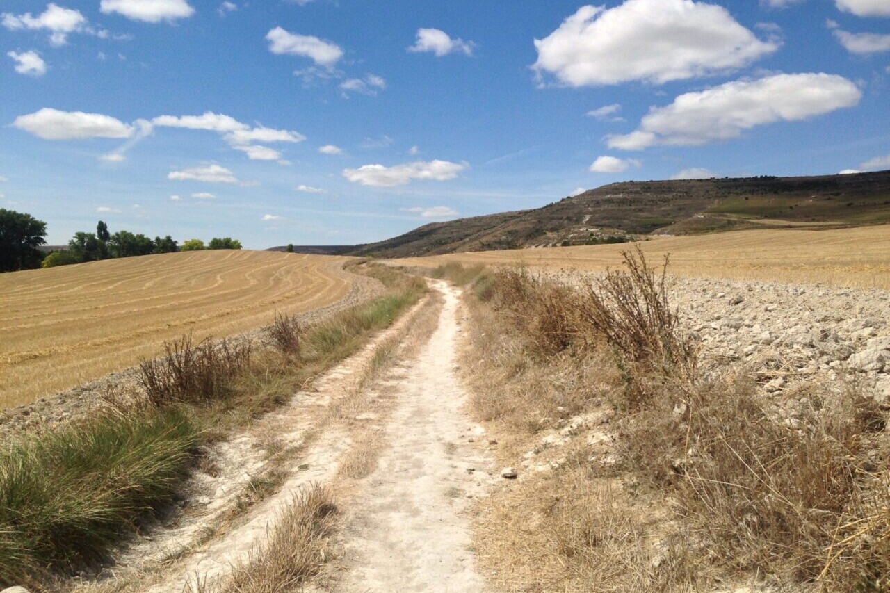 A country road winds through golden fields.