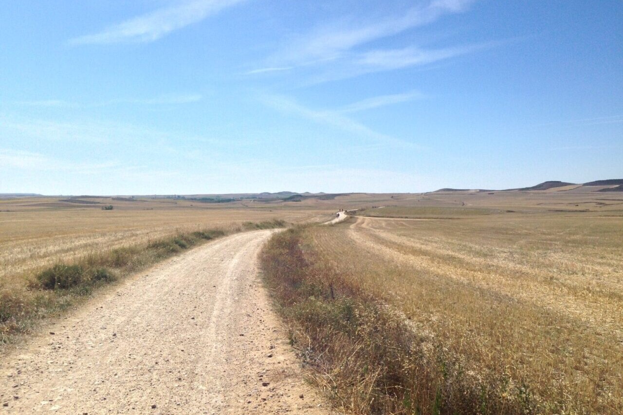 A country road winds through golden fields.