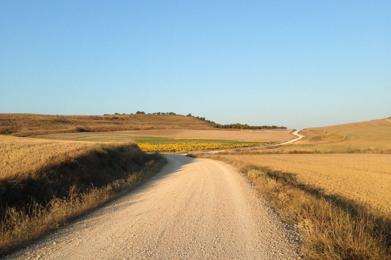 A country road winds through golden fields.