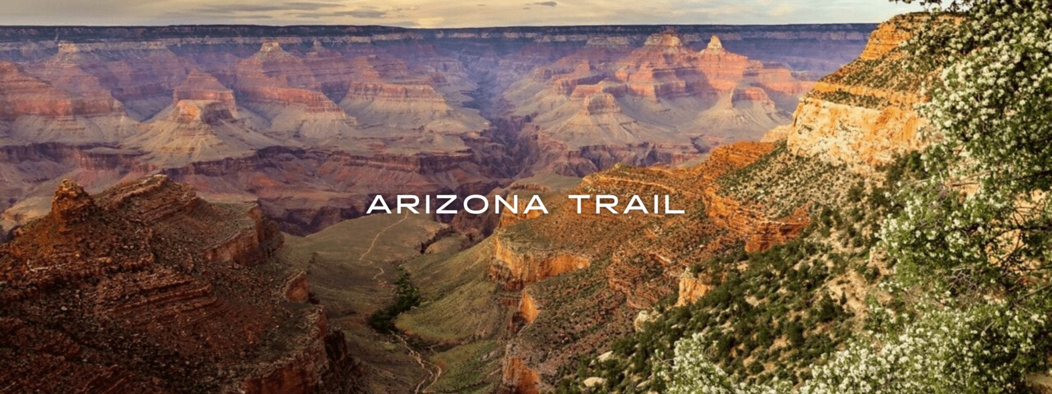 A view from the Arizona Trail on the rim of the Grand Canyon shows a variety of red rock colors and spring foliage.
