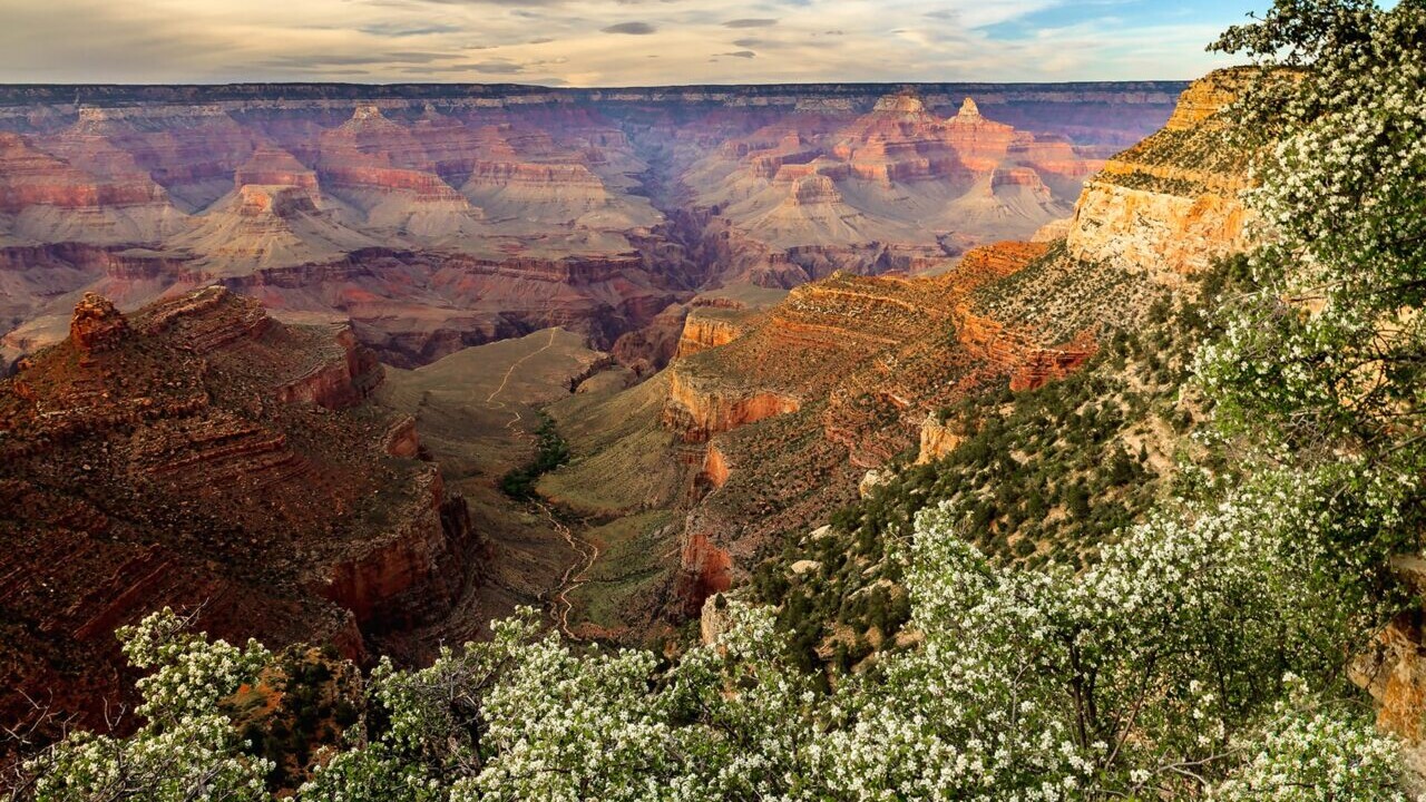 A view from the Arizona Trail on the rim of the Grand Canyon shows a variety of red rock colors and spring foliage.