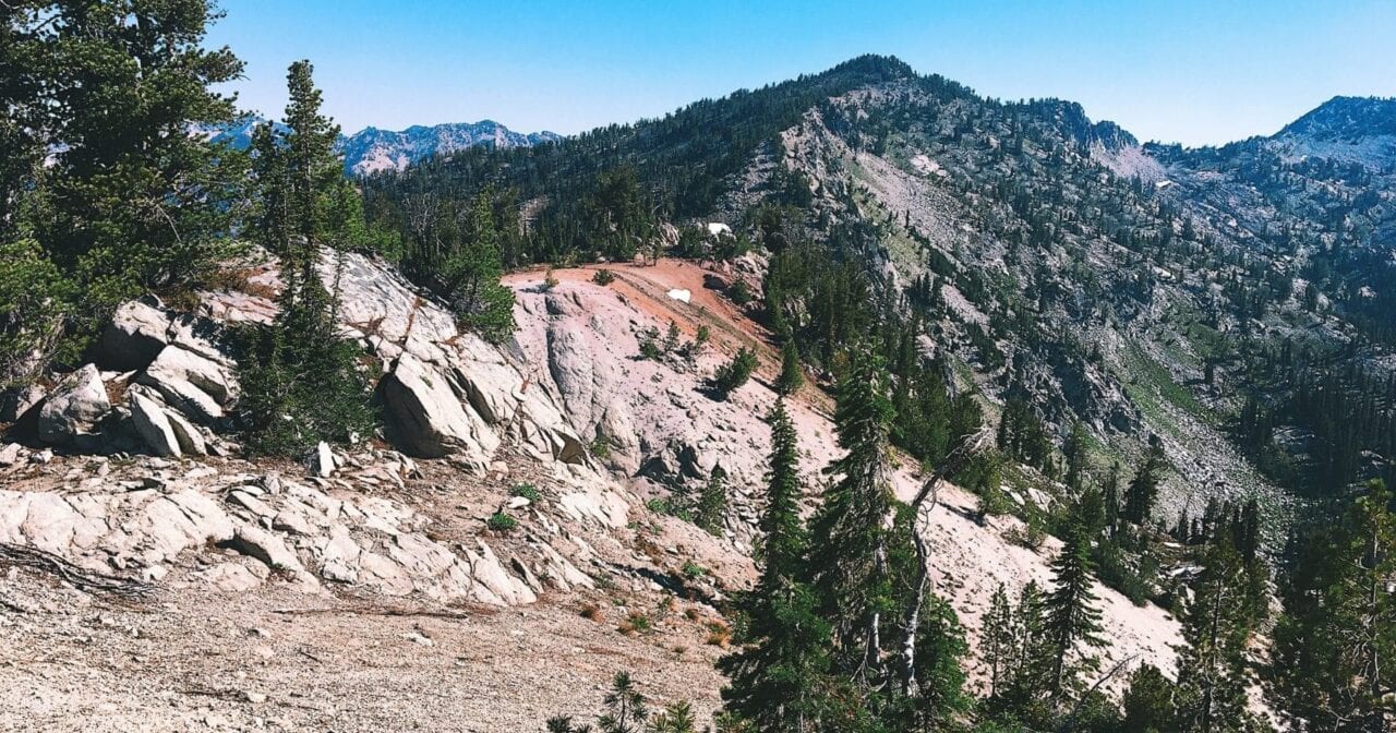 Short green trees grow out of rocky soil and in between crevices on a rocky ridgeline that extends towards distant mountain peaks.