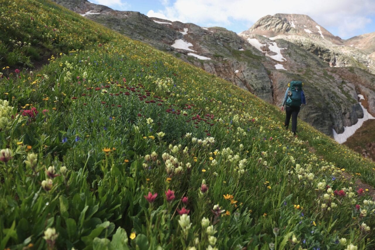 A hiker crosses a meadow of wildflowers with rocky mountains in the background.