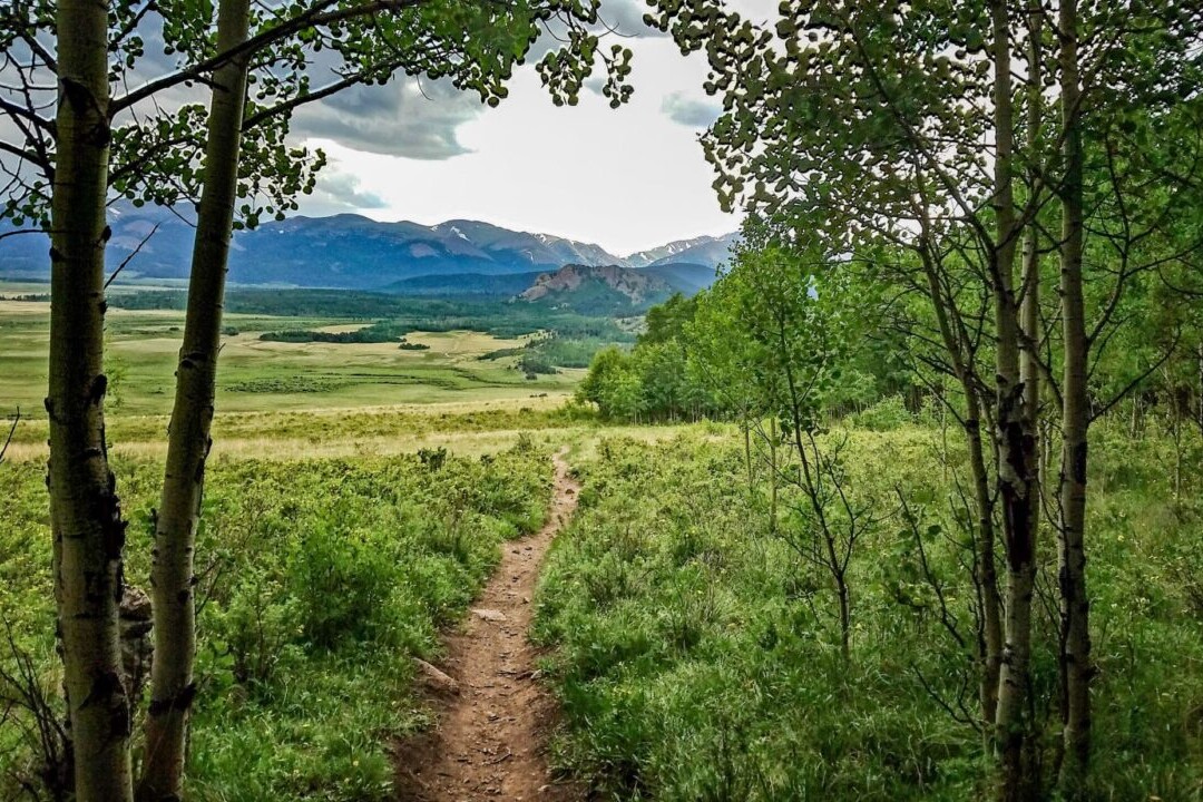 A trail winds through a green meadow with rocky mountains in the background.