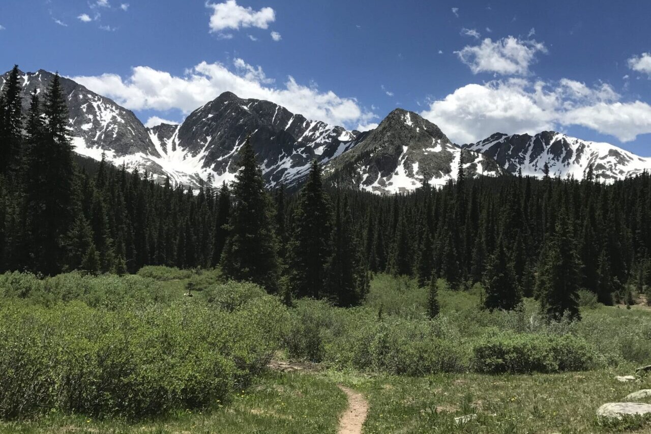 A trail winds through a green meadow with rocky mountains in the background.