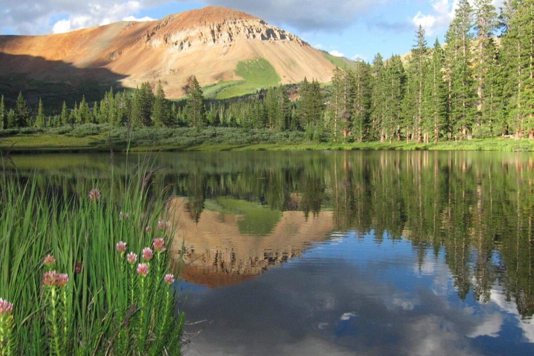 A lake reflects a green forest and a rocky mountain.