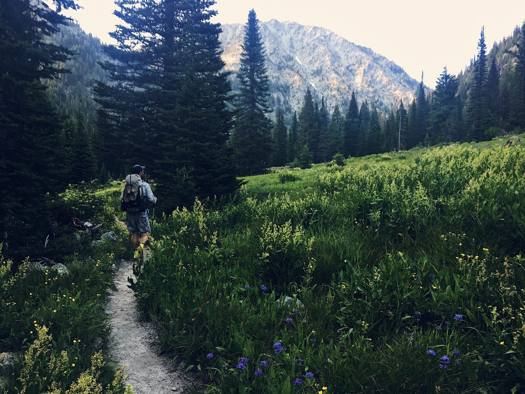 A backpacker walks on a trail through a lush green meadow surrounded by evergreen trees and rocky mountains.