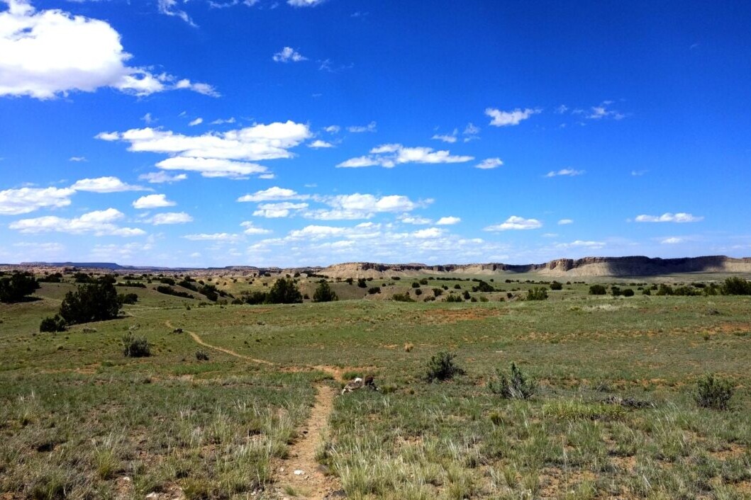 A trail stretches into the distance through a green desert landscape.