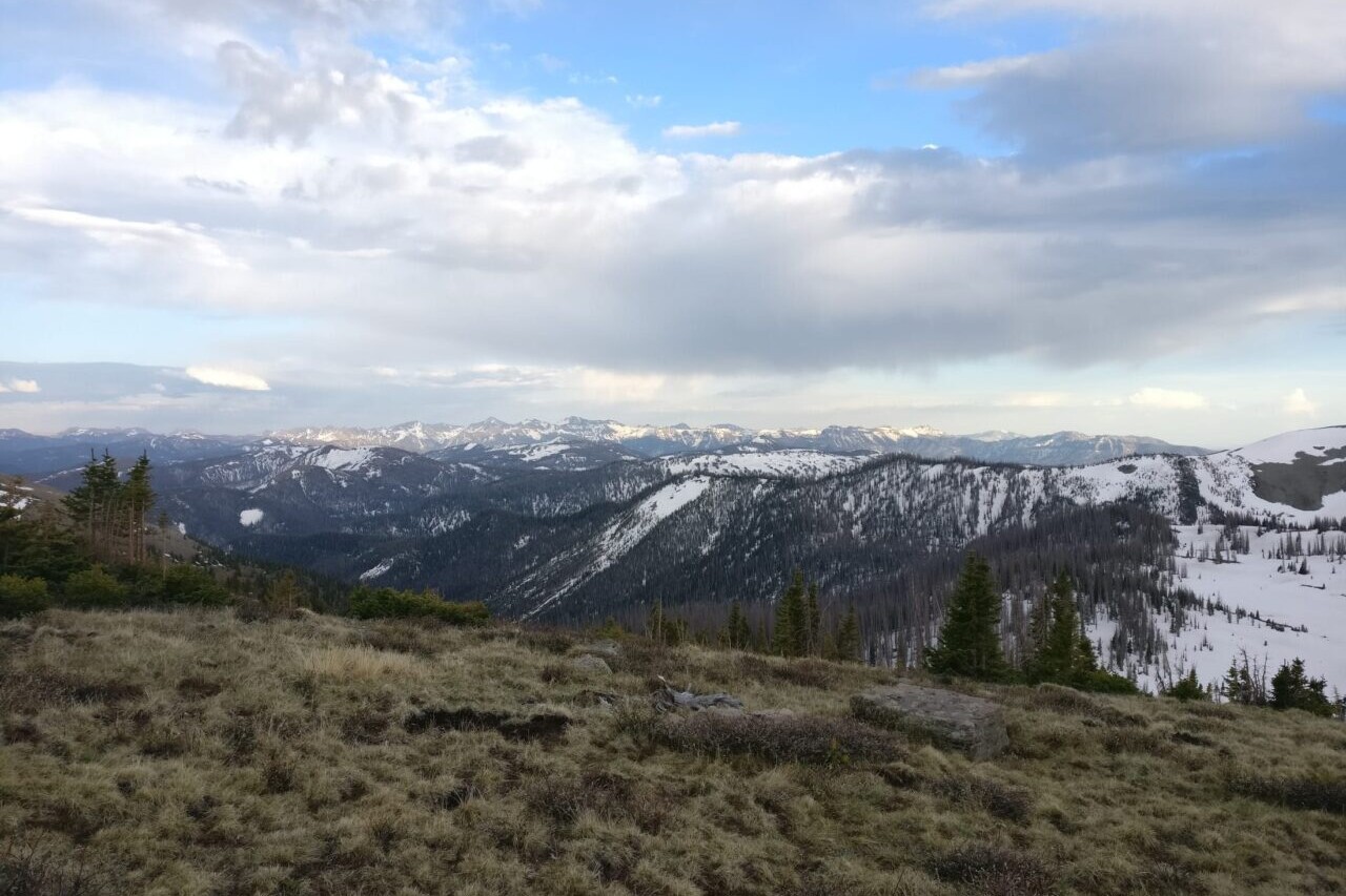 A view from a high meadow shows distant snowy mountains.