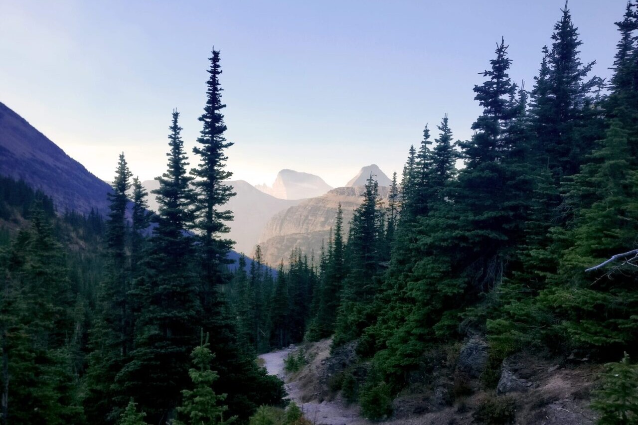 A trail travels through an evergreen forest dowards distant mountains and a sunset.