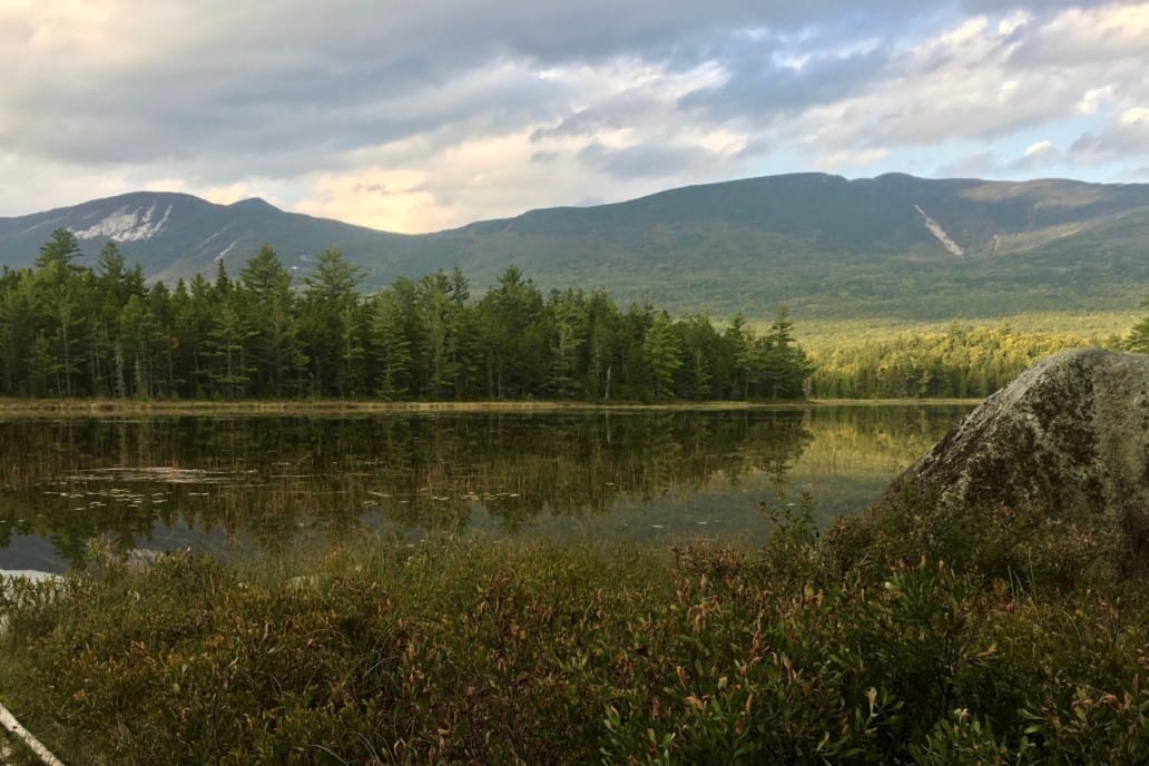 A pond reflects the forest surrounding it ant the distant low mountains in the background.