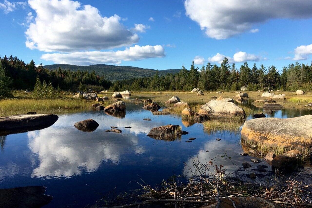 A clear lake with boulders in it reflects the forest and mountains surrounding it.