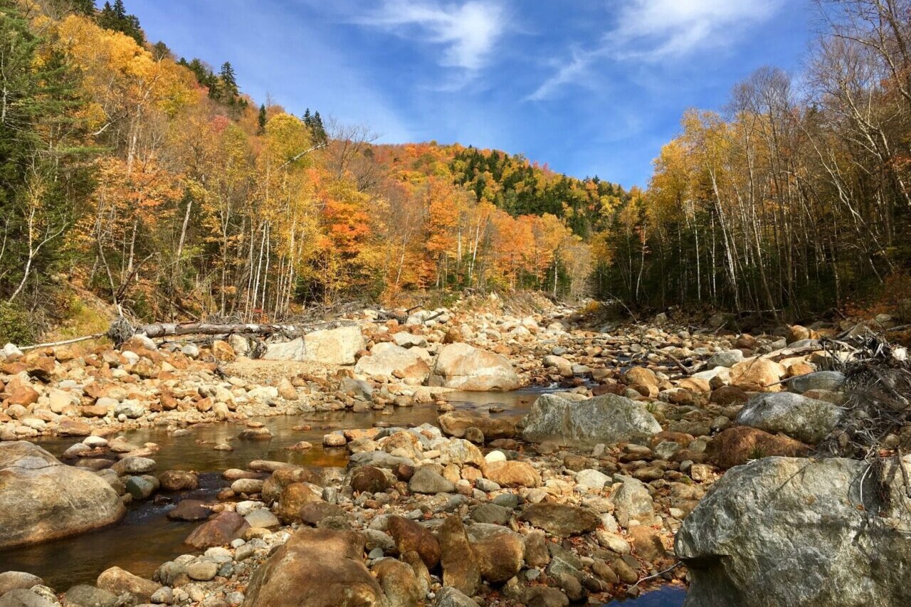A rocky river bed winds through bright fall foliage.