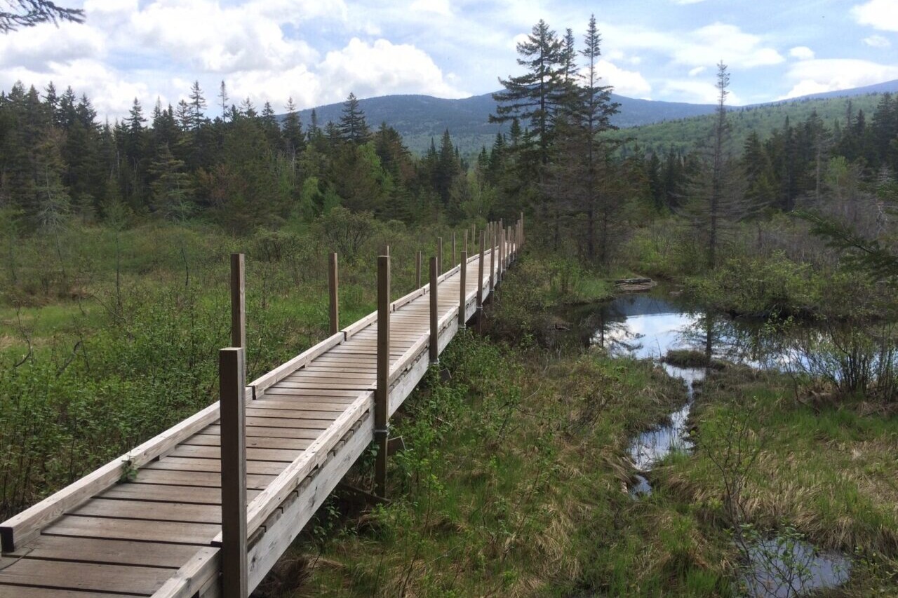 A boardwalk crosses through a green swampy meadow towards a distant forest and mountains.