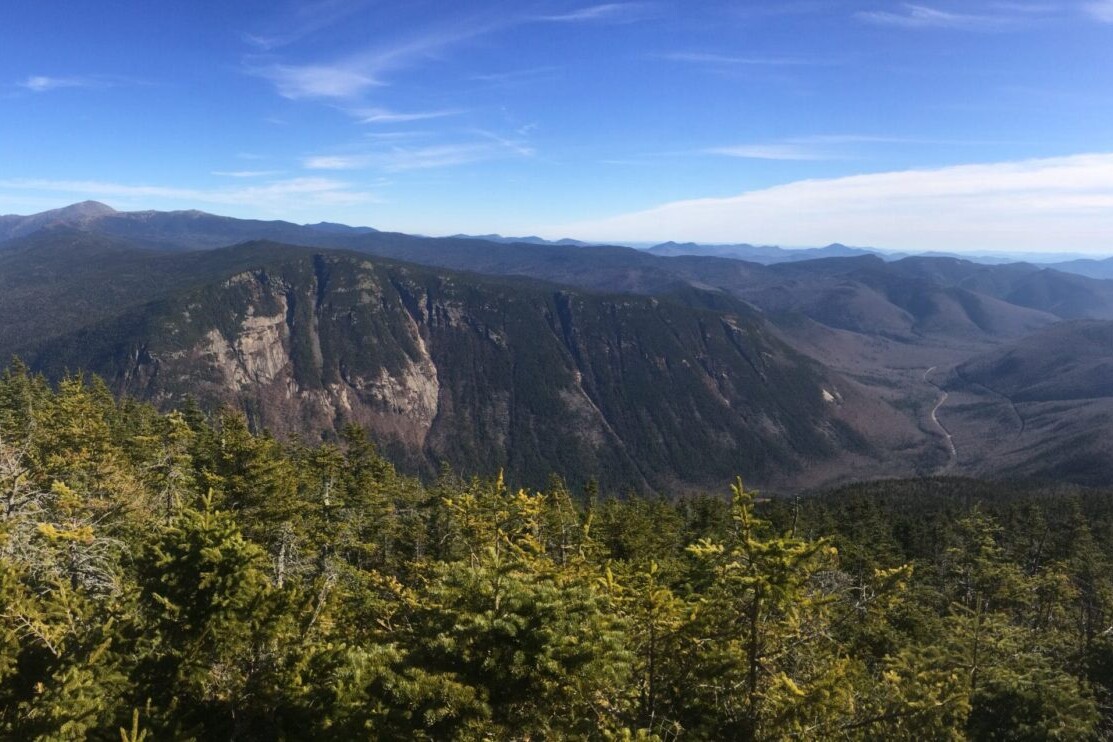 A view overlooks a green forest and distant mountains.