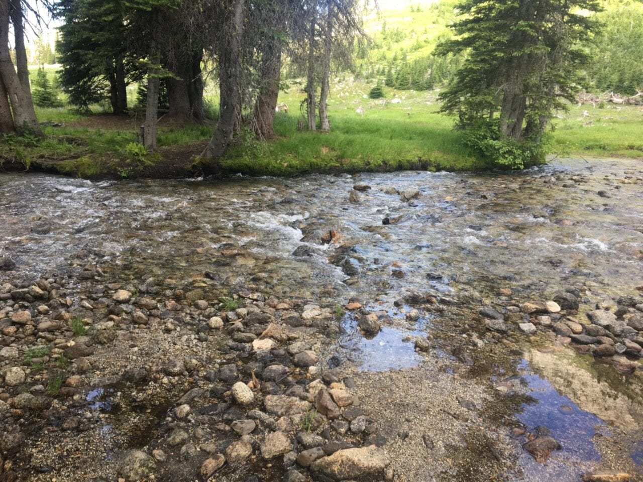 A wide, shallow creek runs through a green meadow.