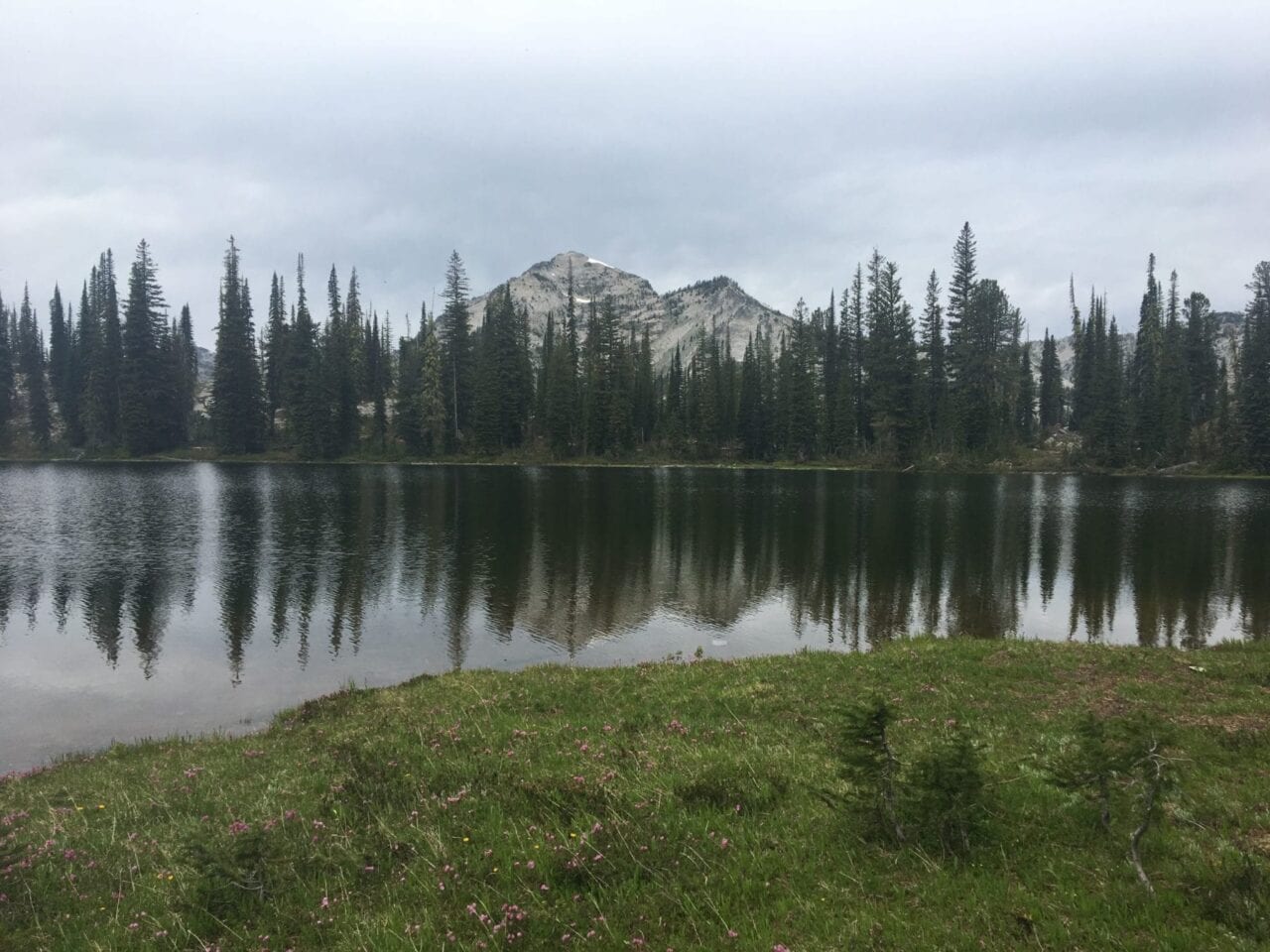 A lake reflects evergreen trees, a distant mountain, and a cloudy sky.