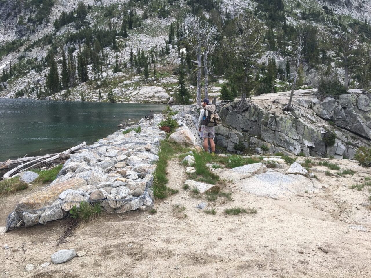 A hiker and a dog stand near a manmade dam and an alpine lake.
