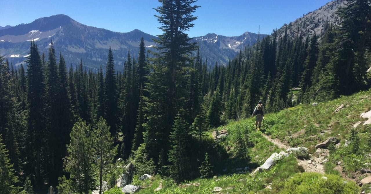 A backpacker descends on a trail through a green meadow and an evergreen forest.