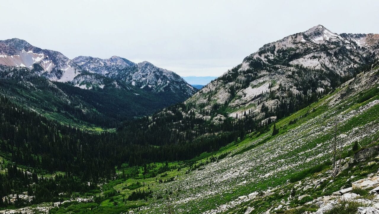 A green meadow and valley descends through an evergreen forest nestled between rocky mountains.