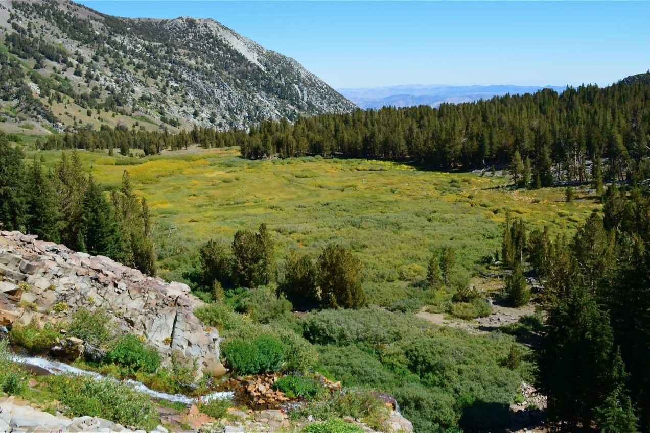 A view overlooks a green meadow and nearby rocky mountain.