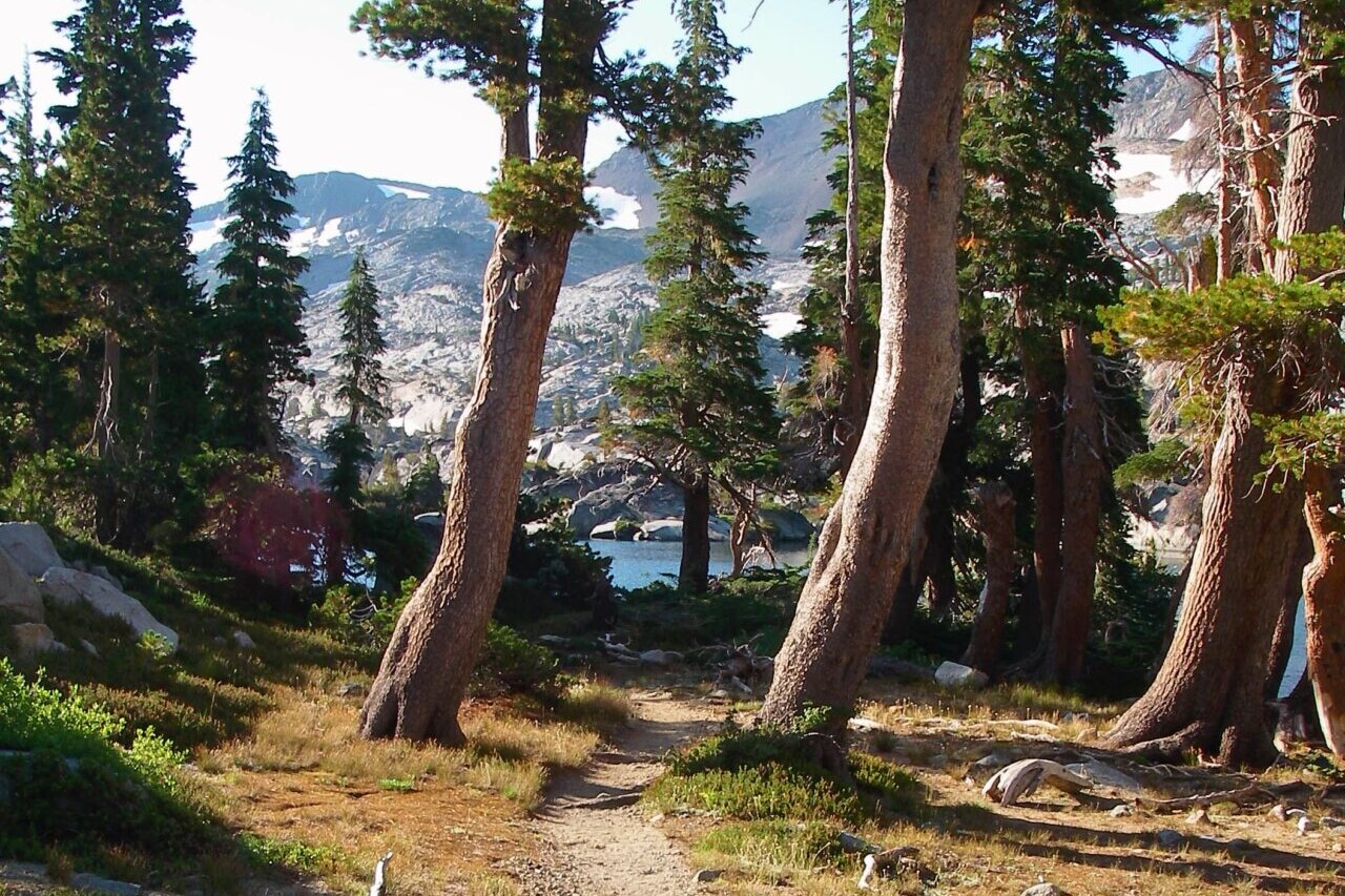 A trail winds through trees to a blue lake.