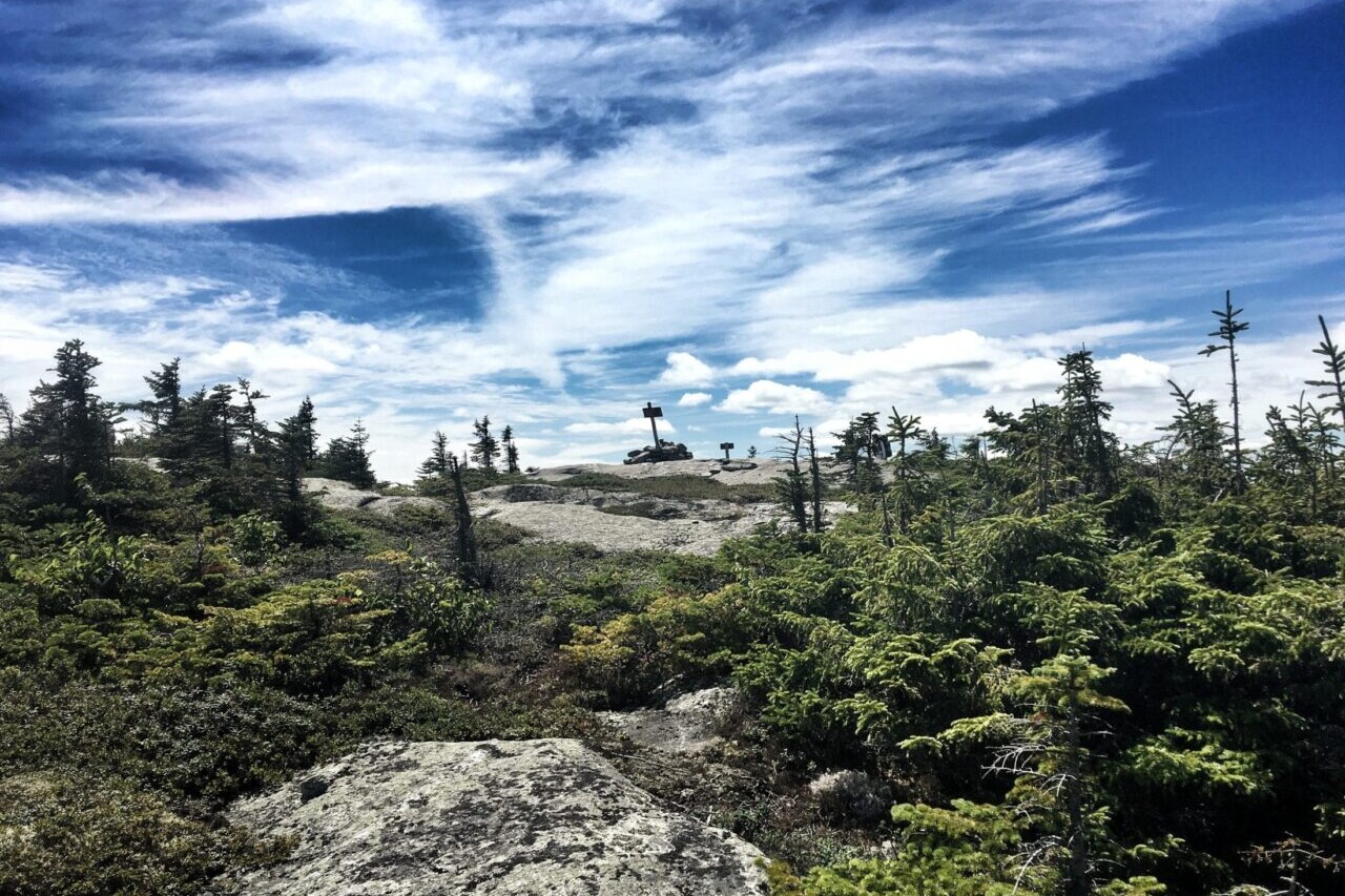 A rocky summit with low alpine trees and a sign is silhouetted against a blue sky.