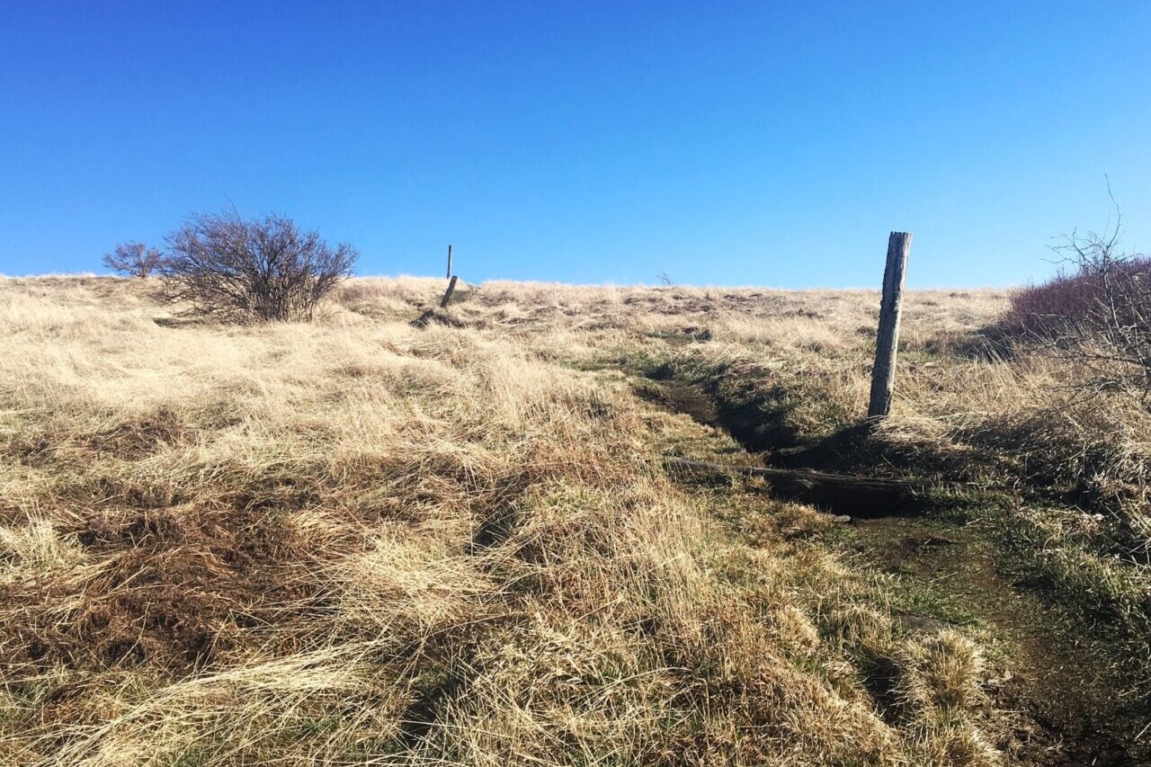 A path leads up and over a grassy golden bald.