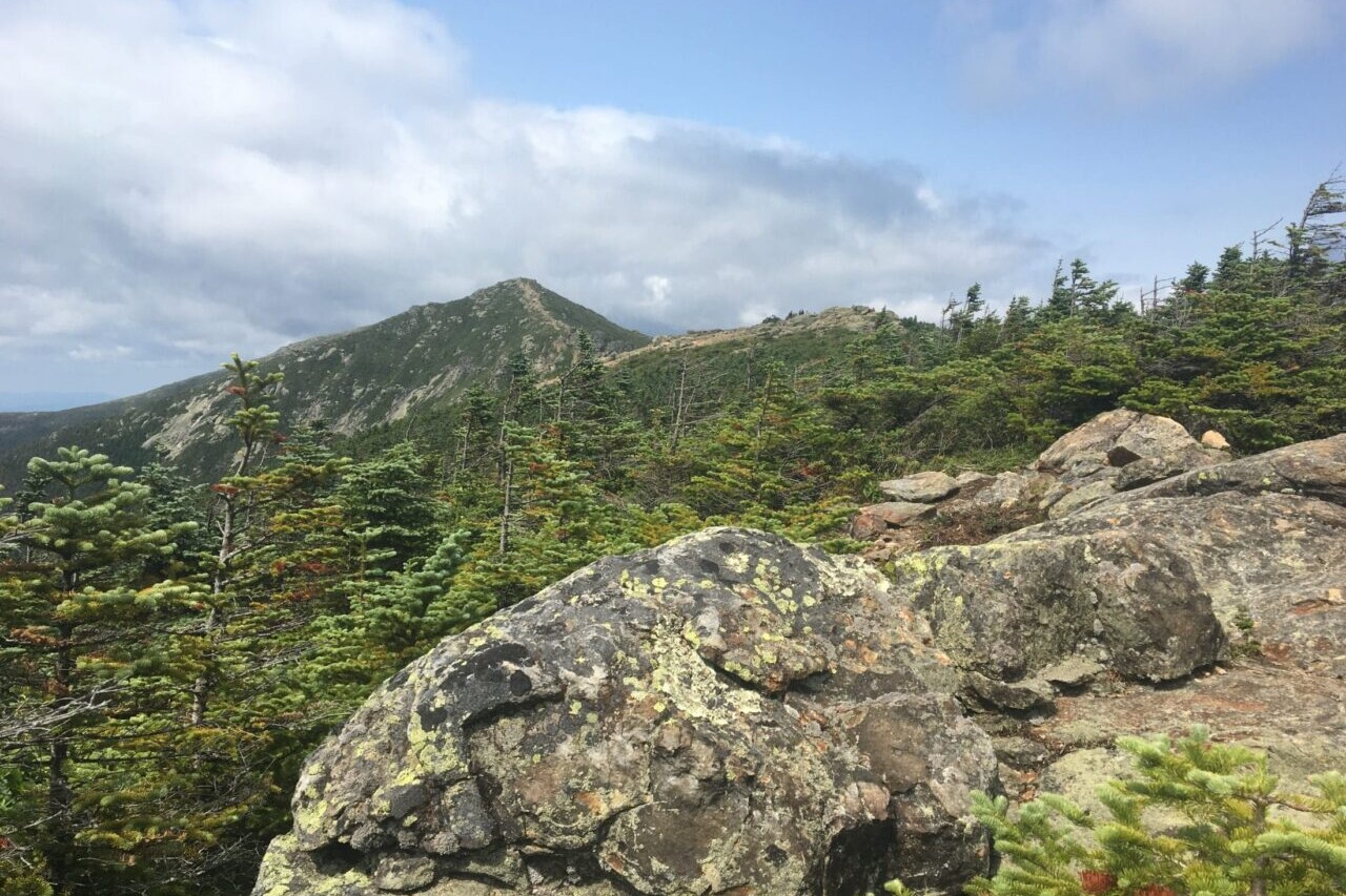 A view shows rocky mountains and green alpine trees.