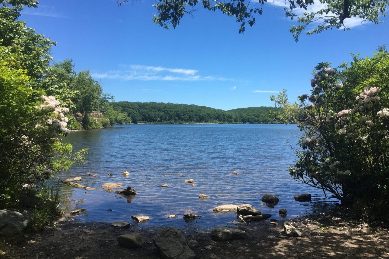 A blue lake is surrounded by rolling green hills.